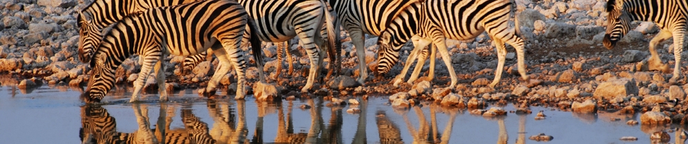 African travel Gateway