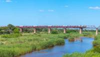 Kruger Shalati - The Train on the Bridge