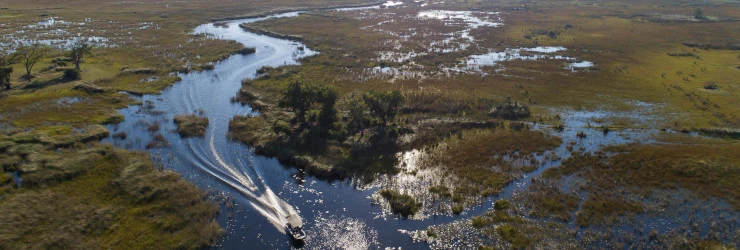 A boat cruise through the Moremi Game Reserve