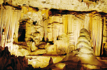 Become immersed in the geographical wonders in the Cango Caves