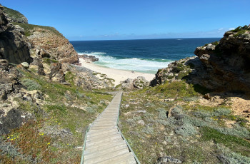 Gorgeous wooden walkways in the Cape Point Nature Reserve