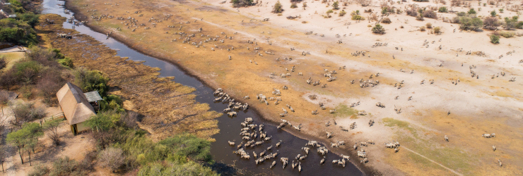  Aerial view of Leroo La Tau Lodge with a view over the Boteti River