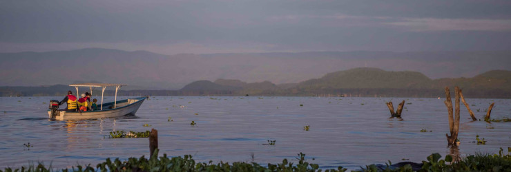 Boat Cruise on Lake Naivasha