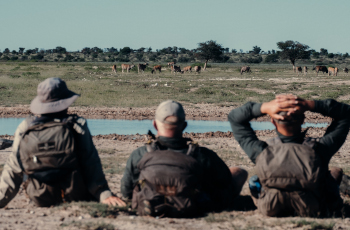 Game viewing during a drinks stop