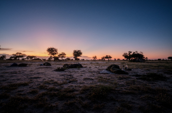 Sunrise over your wilderness campsite