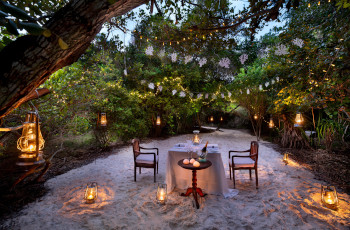 A romantic dinner in amongst the forests