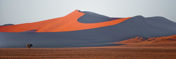 The famous red sand dunes of the Namib Desert