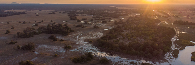 The winding waterways of the Okavango Panhandle