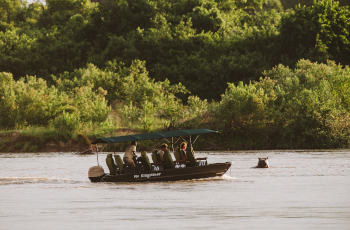  Boat cruises along the Rufiji River