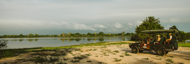 Game drives within the Nyerere National Park