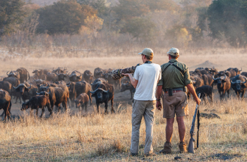 Great photography opportunities on a walking safaris