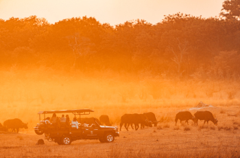 Sunset game drives from Sable Valley Lodge