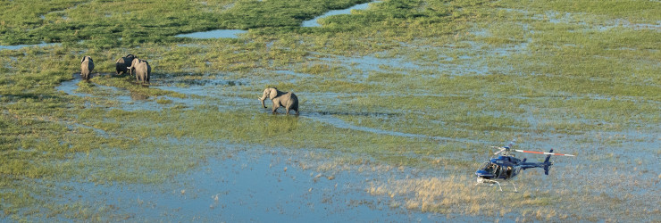 A unique view of the Okavango Delta by helicopter