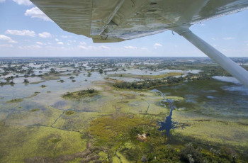 A scenic flight over the waterways of the Okavango Delta