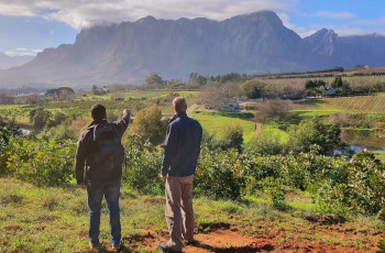 Walk through the winelands with an experienced guide