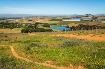 Take in the beautiful views of the Cape Winelands