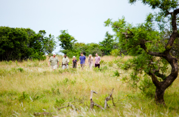 Green season on the Sweni Wilderness Trail