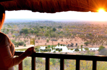 A view of the waterhole right from your balcony at Vic Falls Safari Lodge