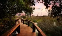 Wooden walkways through camp in the Okavango Delta