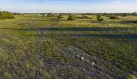 Discover the Okavango Delta by foot and explore the ancient Salt Pans