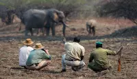 Spend 10 Days exploring the South Luangwa National Park on foot, then ending at the stunning Victoria Falls. 