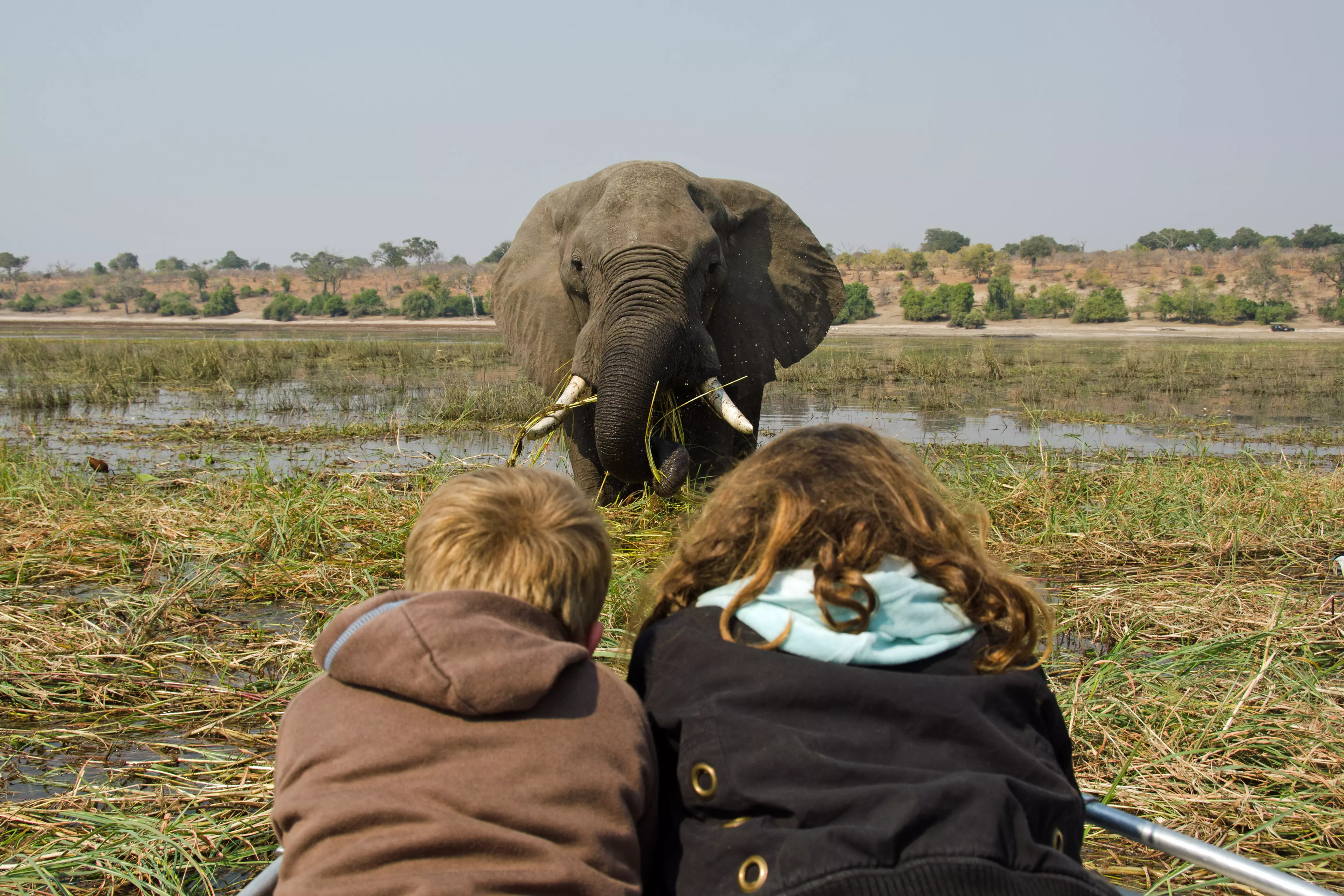 Family Safari Holidays