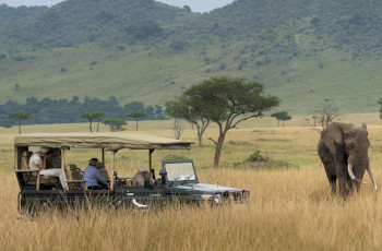  An elephant sighting at andBeyond Bateleur Camp