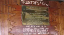 Treetops