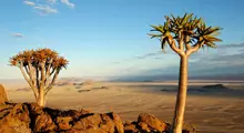 12 Day Southern Namibia Tour