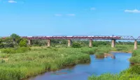 Kruger Shalati - The Train on the Bridge