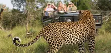 Best South Africa Safaris