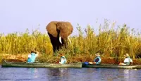 Lower Zambezi National Park