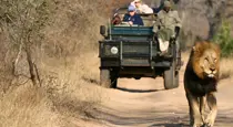 Shumbalala Game Lodge, South Africa